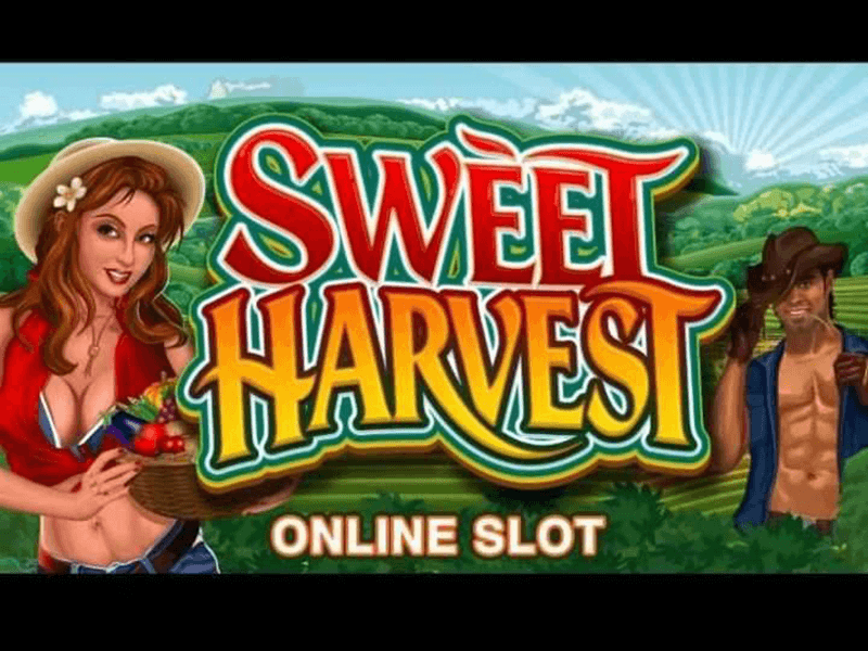 Sweet Harvest Slot